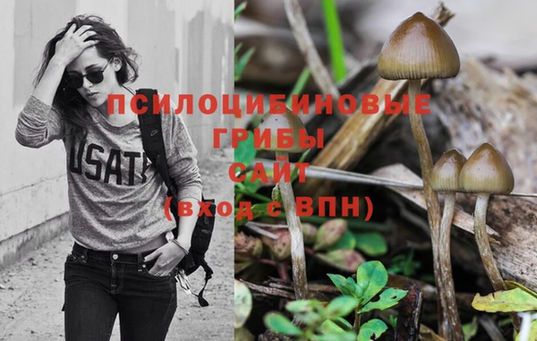 mdpv Горняк