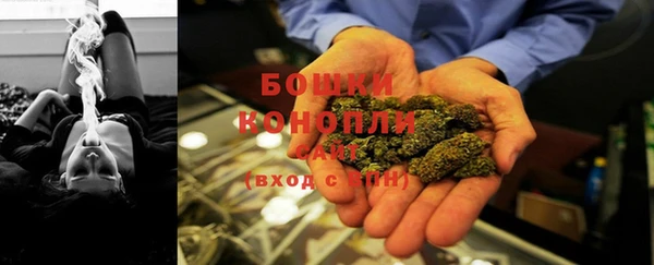 ГАЛЛЮЦИНОГЕННЫЕ ГРИБЫ Горно-Алтайск
