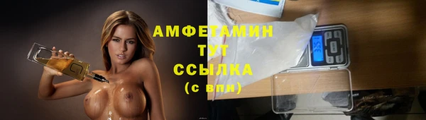 ГАЛЛЮЦИНОГЕННЫЕ ГРИБЫ Горно-Алтайск
