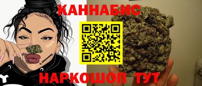 крисы Волгодонск