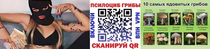 Галлюциногенные грибы прущие грибы  закладка  Джанкой 