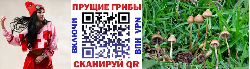 Галлюциногенные грибы прущие грибы Джанкой