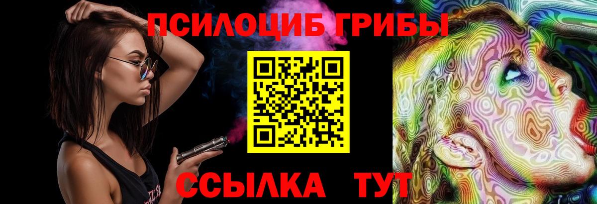 Псилоцибиновые грибы мухоморы  наркошоп  Джанкой  Вход с VPN  Псилоцибиновые грибы мицелий 