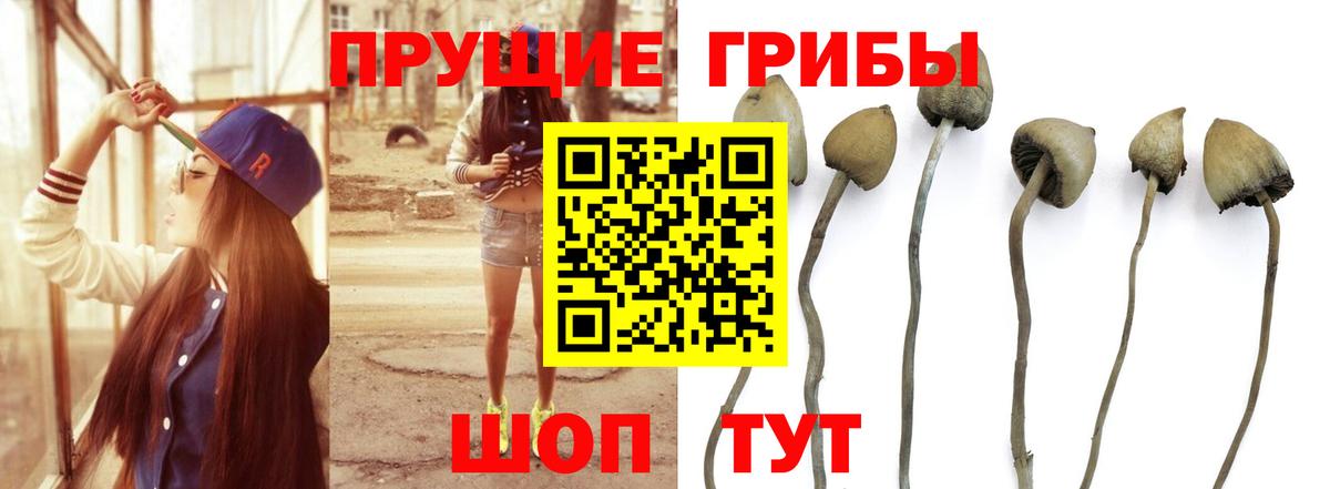 Галлюциногенные грибы Magic Shrooms Джанкой