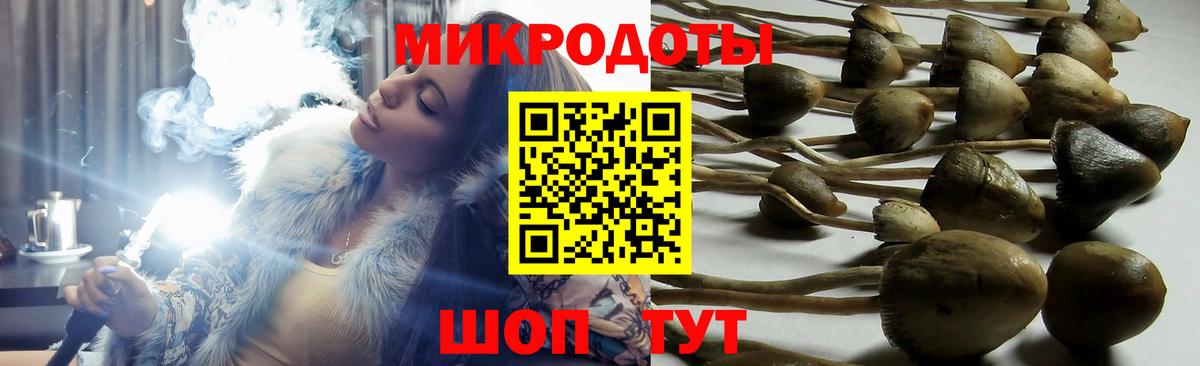 Галлюциногенные грибы MAGIC MUSHROOMS  Псилоцибиновые грибы Magic Shrooms  Джанкой 