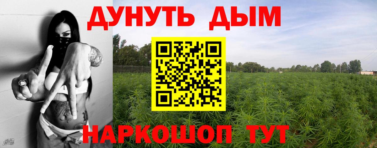 Джанкой  Бошки Шишки марихуана  Вход с VPN  Конопля White Widow  Конопля планчик  Бошки Шишки сатива 